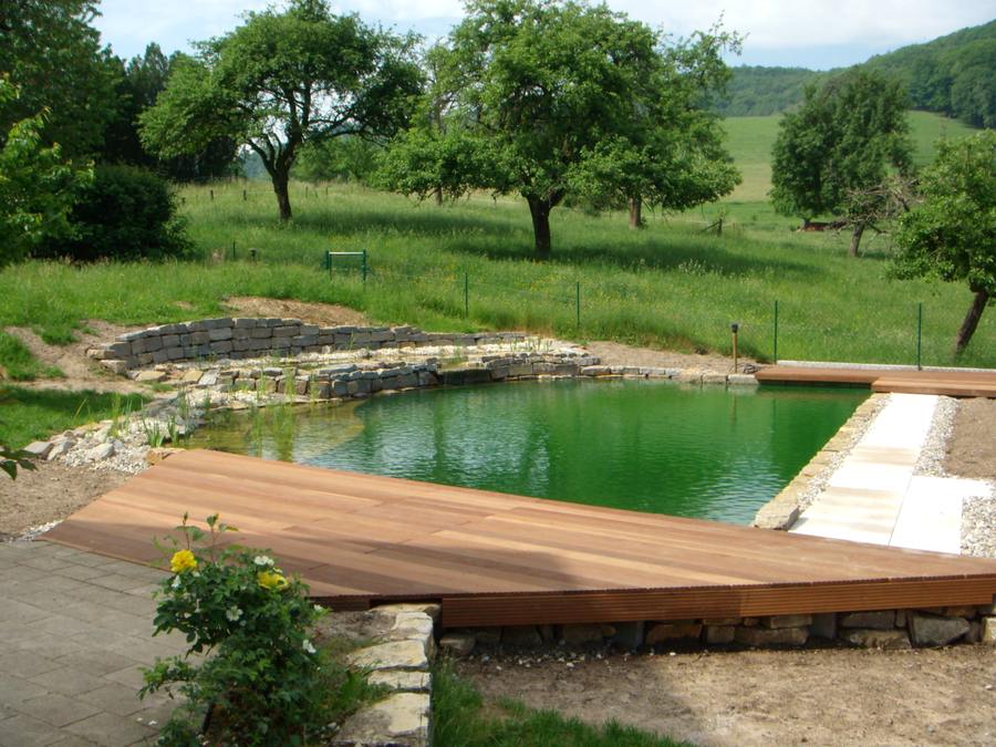 Moderne Holzterasse mit Schwimmteich